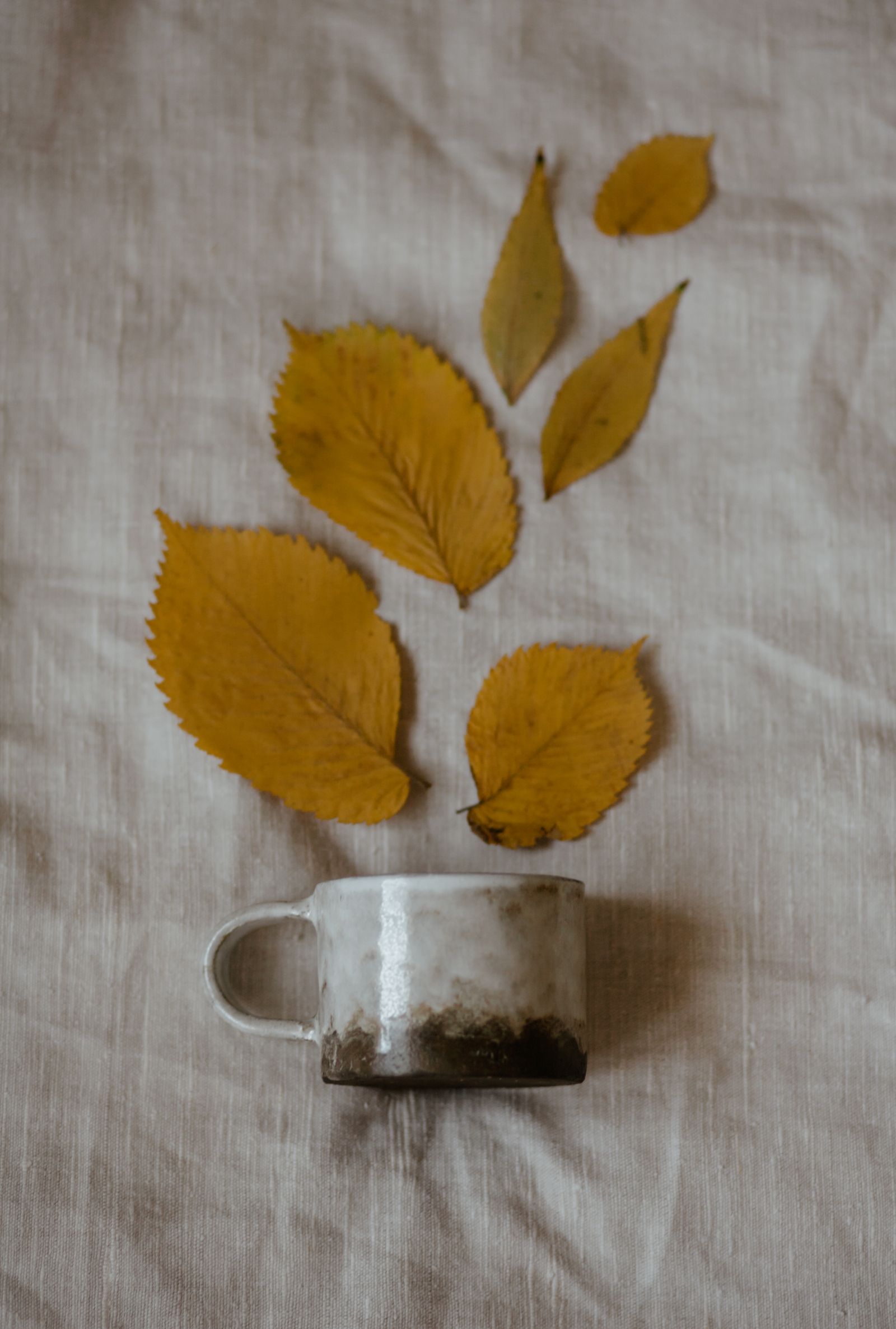 A handmade ceramic mug on natural linen with a few dried leaves in soft morning light